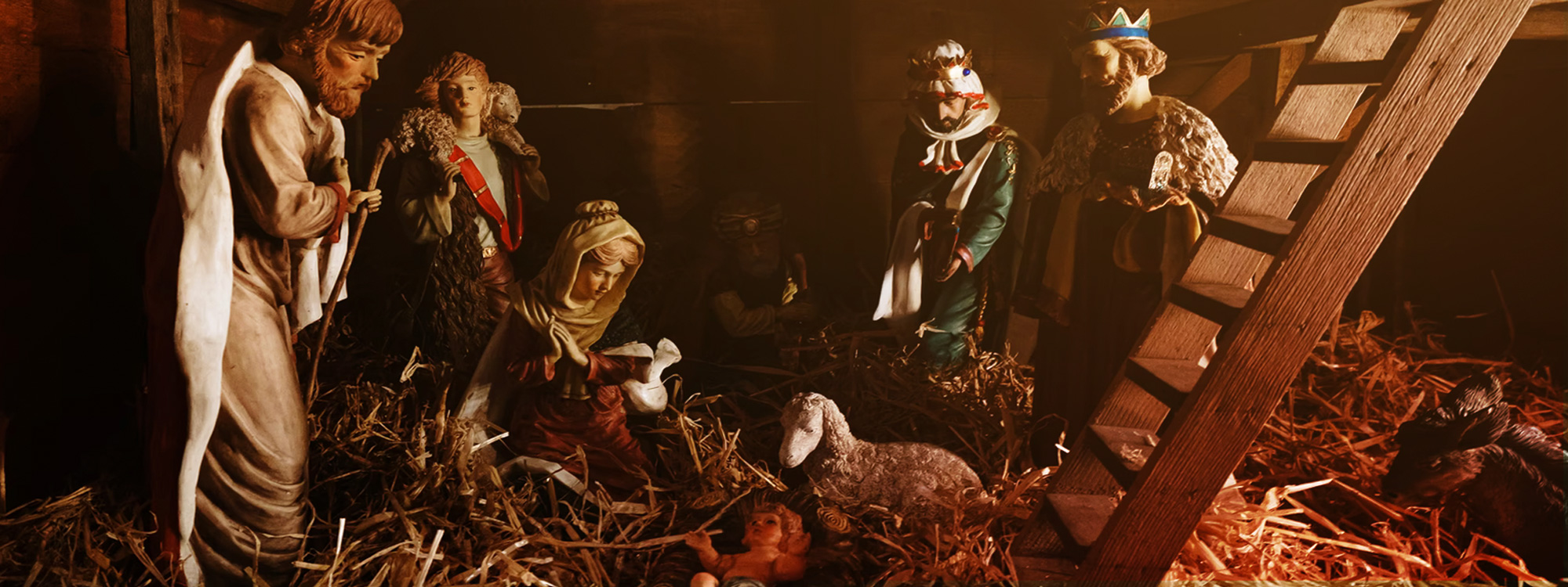 A Saviour Is Born!*Take a look at what we have planned this Christmas*More